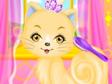 Lovely Princess Cat