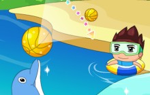 Dolphin Basketball